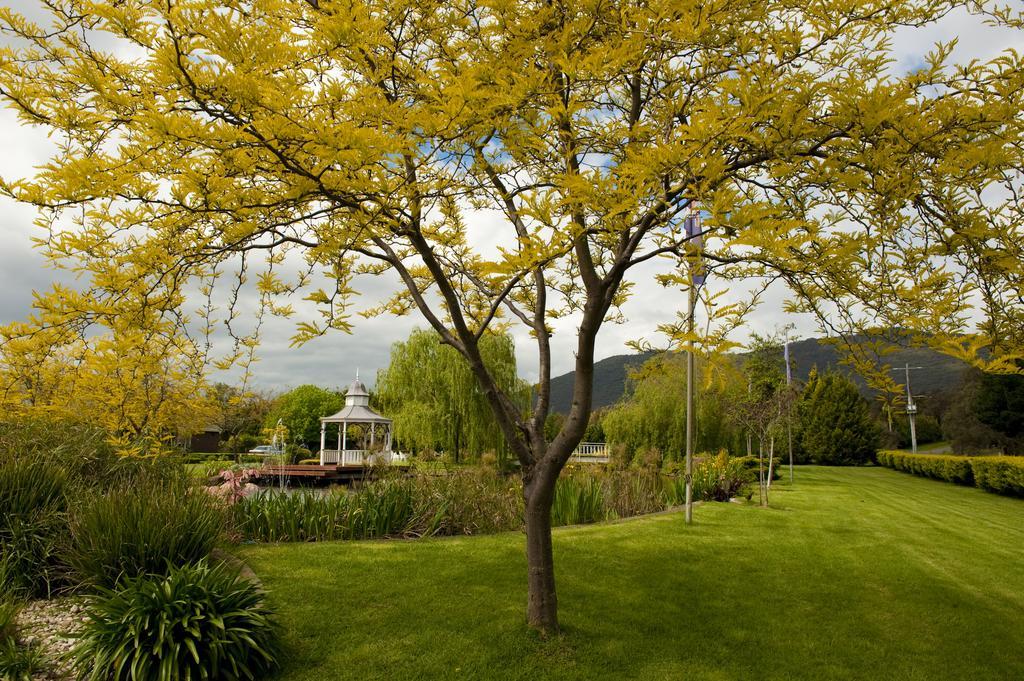 Lakeside Cottage Luxury B&B Mount Dandenong Exteriér fotografie
