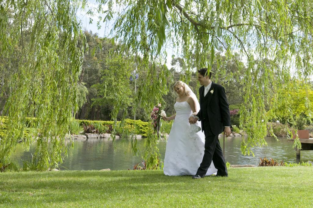 Lakeside Cottage Luxury B&B Mount Dandenong Exteriér fotografie