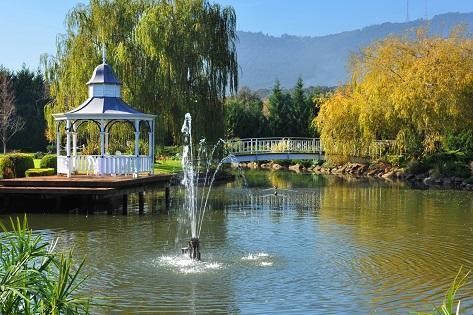Lakeside Cottage Luxury B&B Mount Dandenong Exteriér fotografie